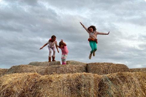 Investment Management