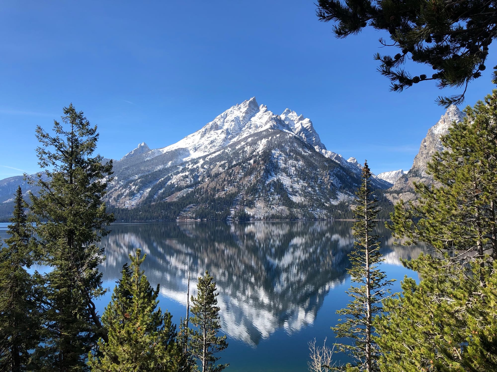 Grand Teton peak reflected in Jenny Lake — the long view